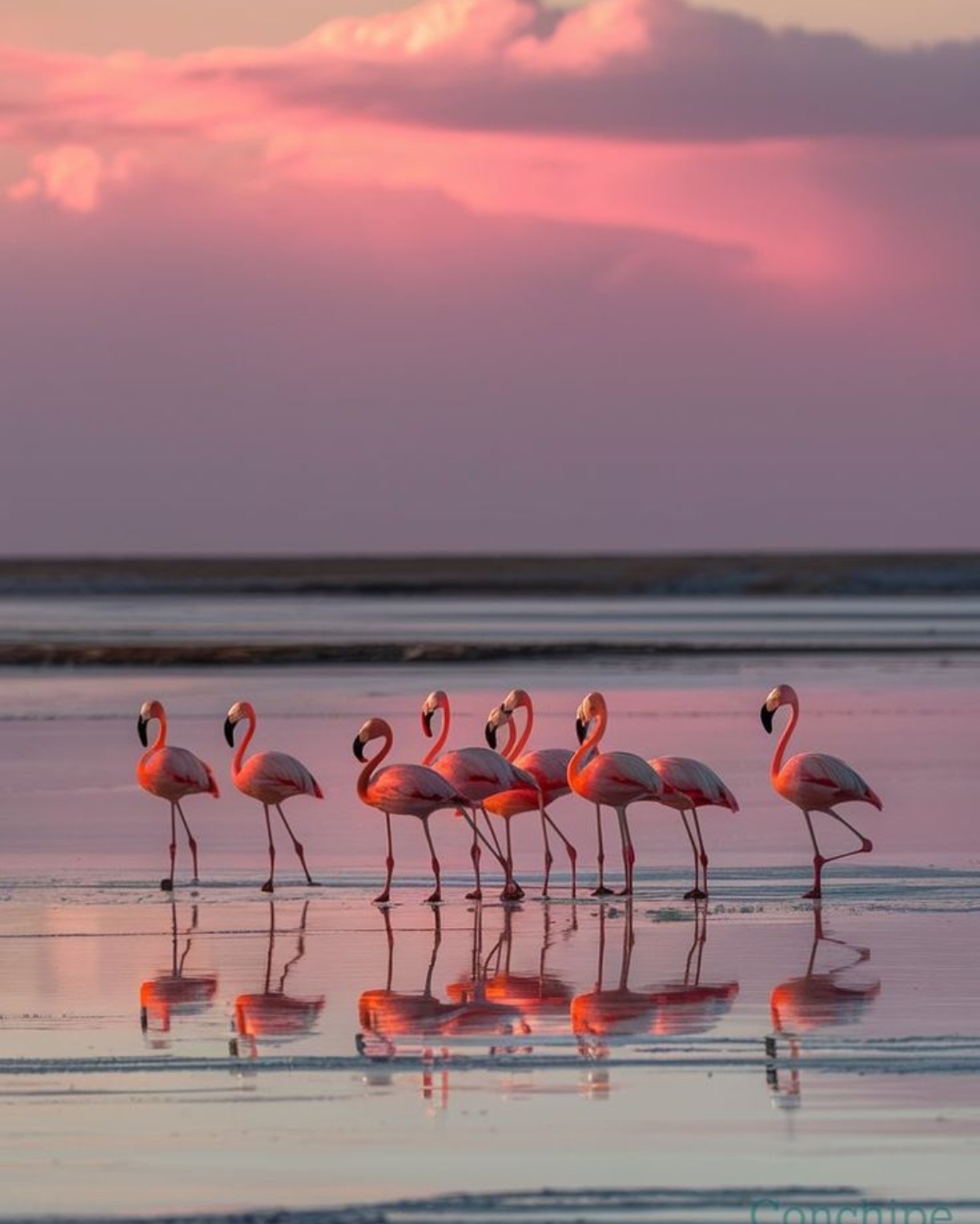 Bird Watching in Rajasthan